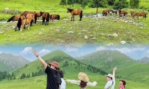 2026年口碑好的新疆旅游公司推荐，用户力荐本土服务商