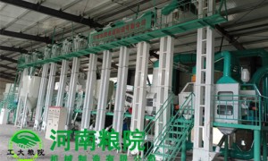 2026年河南大米精加工设备实力厂家有哪些
