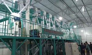 2026年口碑好的大米精加工生产线源头厂家用户力荐