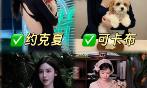 上海靠谱犬舍服务哪家口碑好？大莹家小约宠物避坑挑选指南