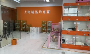 2026年买狗推荐可靠的宠物店服务找哪家用户力荐