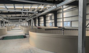 沧州启晟塑料制品有限公司：工业化水产养殖池正规厂家挑选全攻略
