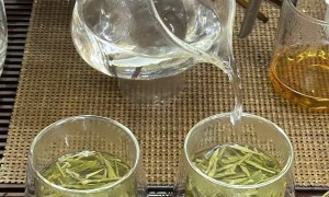 2026年最新口碑好的茶叶门店有哪些 挑选全攻略
