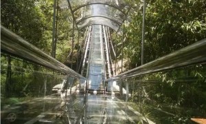 三鑫体育游乐山地轨道车巴士 浙江景区爬坡运输轨道车厂家服务