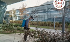上格虫控 上海小区住户果蝇反复 蟑螂老鼠蚰蜒一并处理 综合虫害管理