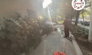 上海灭鼠杀虫与全屋虫害防治服务商专业实力与用户口碑深度解析