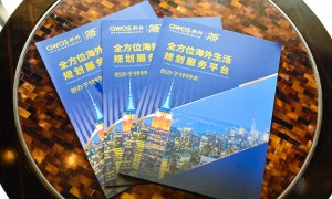 北京美国EB1A移民申请成功率提高的服务商有哪些？