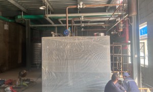 2026年蒸汽发生器定制供应商发展现状与市场占有率及排名研究分析报告