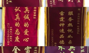 上海广受信赖的快速找猫团队服务商，专业寻宠团队客户口碑力荐