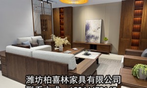 潍坊安丘实木家具定制公司实力参考，2026年口碑好的全屋定制工厂推荐