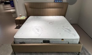 佛山源头厂家酒店床垫定制与环保床垫制造企业合作实力参考