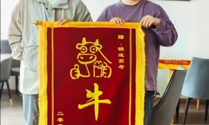 锦途教育的招生政策怎么样