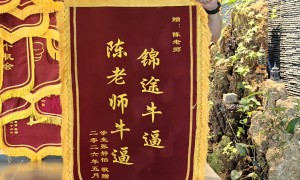 2026年靠谱的高考报志愿机构行业现状与选择指南