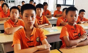2026年精武武术培训的教练推荐哪个，正规武术培训机构用户力荐