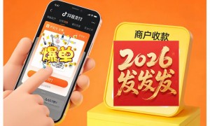 抖音买单支付服务企业排行与选择指南
