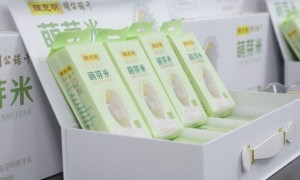 2026年宝宝米哪个品牌值得信赖的用料扎实的厂家综合实力推荐