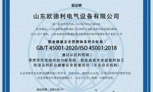 山东欧德利电气设备有限公司规模如何