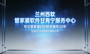 西宁靠谱的进销存软件专业公司，用户口碑力荐