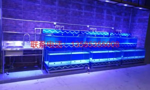 常州霆邦水族：商超鱼缸实力厂商哪家专业？江苏本地源头工厂推荐