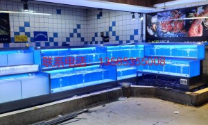 饭店海鲜池生产厂家哪家专业 2026年移动海鲜池厂家行业现状与选择指南