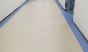 2026年pvc地坪批发哪家靠谱 正规知名厂家质量参考评选