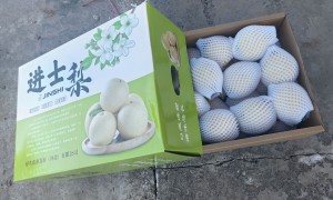 求推荐汁水多不发渣的梨 进士梨的翠皮皇冠梨口碑如何？