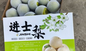 2026年河北知名的鲜梨源头厂家 全流程品控的梨供应商口碑汇总