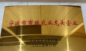 2026年热门的奉化水蜜桃生产厂家有哪些，行业现状与选择指南