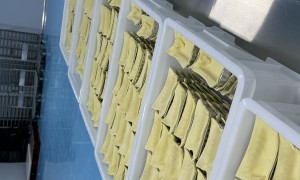 海外做冷冻烘焙半成品配送的源头工厂推荐，用户力荐不踩坑