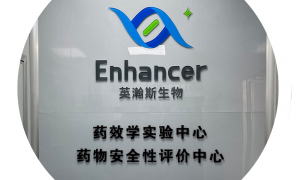 南京做杂质研究的CRO公司推荐，行业现状与选择指南