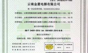 楚雄自动扶梯、自动人行道工程服务商，云南金菱电梯：24小时抢修，自有维保团队