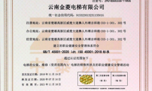 云南金菱电梯：不同型号电梯保养费用解析，一年多少钱？