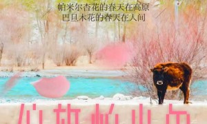 河南口碑好的旅行社服务商推荐，团队实力与服务质量评选