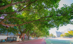 广州天河AI漫剧培训企业机构推荐：靠谱且服务不错的学院