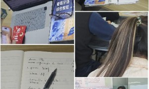 上海工作日晚上学英语找哪家机构推荐，上外校区实践语言培训靠谱之选