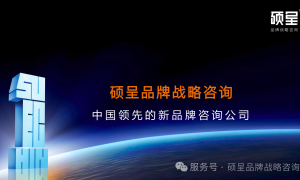 初创企业品牌定位咨询怎么选？找专业品牌战略规划公司可参考硕呈系统方法论