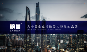 硕呈咨询品牌战略全案：用数据模型驱动增长，服务成长型企业