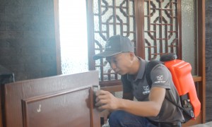 2026年广州深圳灭蟑螂服务商，靠谱商家测评排名