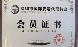 2026年深圳到泰国发货找哪家国际货运公司，服务商家测评排名