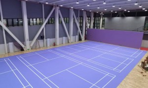 2026年环保塑胶地板厂家选购参考汇总