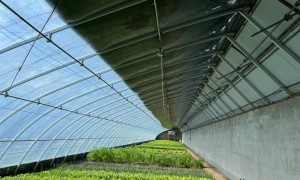 吉林种植棚制造厂家选择指南与综合实力推荐