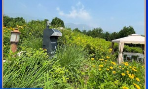 2026年医院灭蚊设备厂家发展现状与市场占有率及排名研究分析报告
