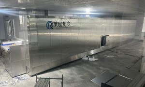 2026年风冷式速冻隧道速冻机工厂品牌推荐与选购指南