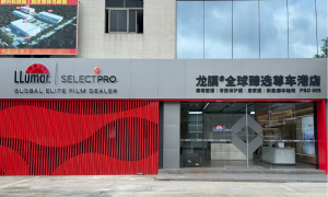2026年广州车膜哪家强，龙膜番禺臻选店服务商实力参考