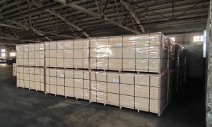 一站式物流服务全球港口订舱公司推荐，价格公道不玩套路