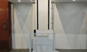 邢台业星机械室内家用电梯供应商实力参考，静音与观光梯型甄选汇总