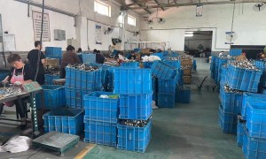重型卡箍供应商选择指南，广受信赖的源头工厂实力参考
