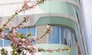 2026年初中毕业选民办学校排行榜：专业学校实力参考
