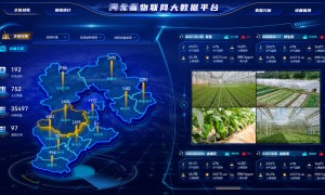 2026年北京地区口碑不错的物联网服务商客户口碑力荐