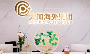 2026年可靠的美国移民机构推荐，省心不踩坑的行业选择指南